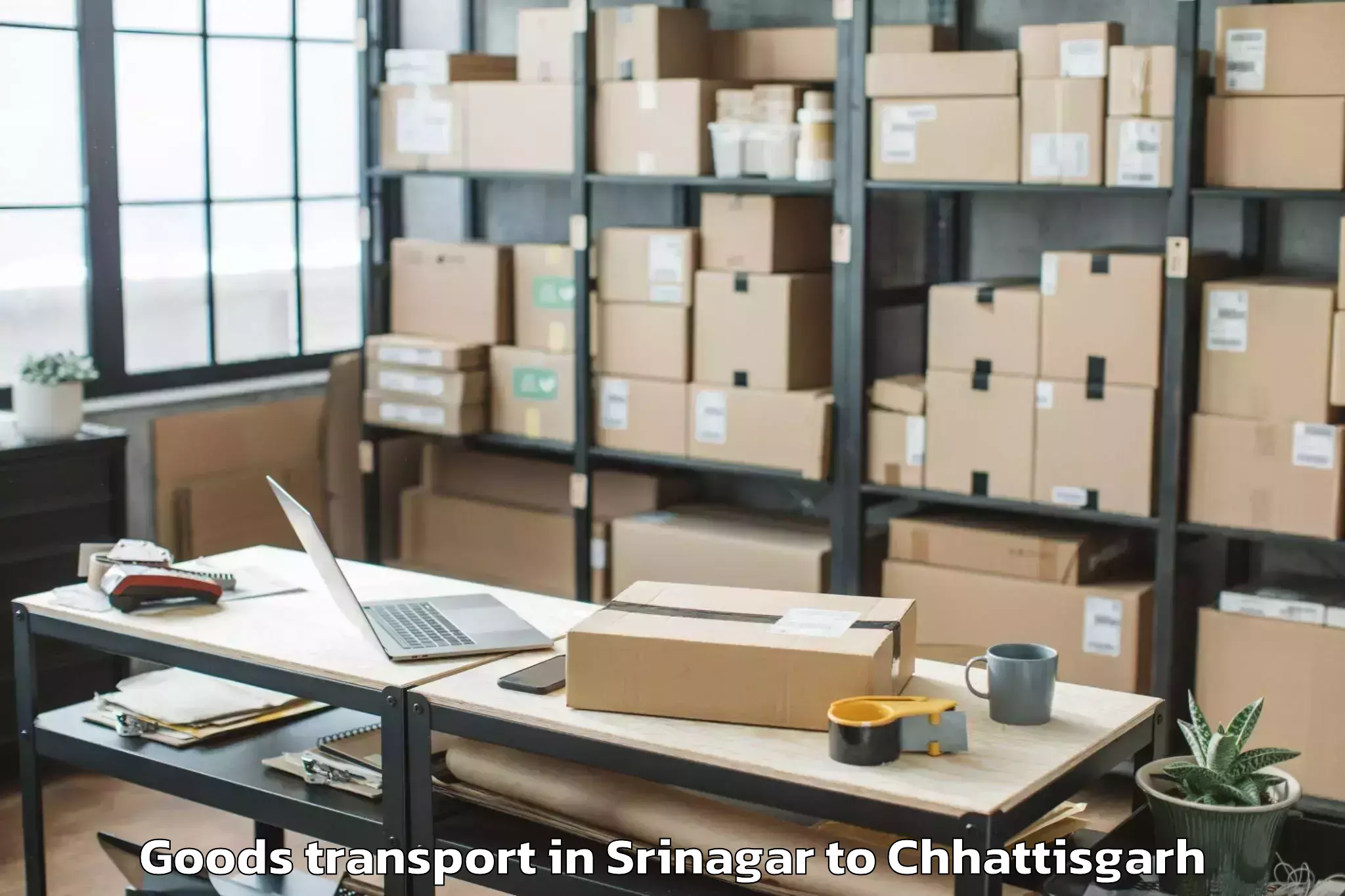 Efficient Srinagar to Op Jindal University Raigarh Goods Transport